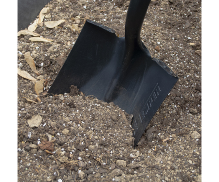 A42 2585500